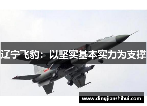 辽宁飞豹：以坚实基本实力为支撑